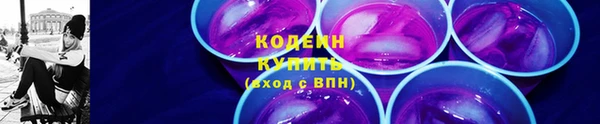 молекула духа Ахтубинск