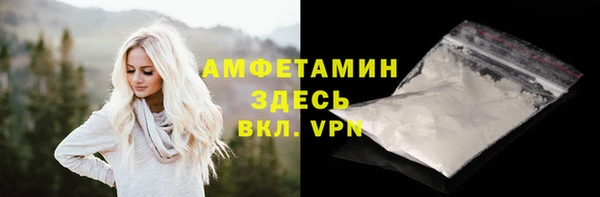 молекула духа Ахтубинск
