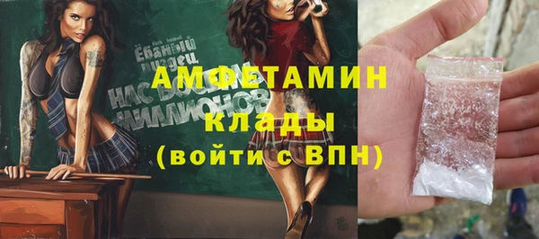 индика Анжеро-Судженск