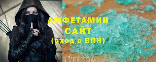 индика Анжеро-Судженск