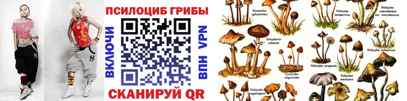 Псилоцибиновые грибы мицелий  Белоусово 